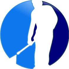 Sylvania Power Washing