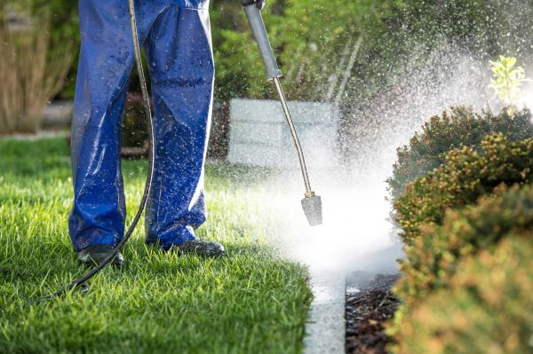 Curb Cleaning in Sylvania