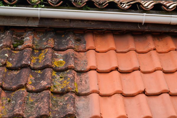 Industrial Roof Cleaning in Sylvania