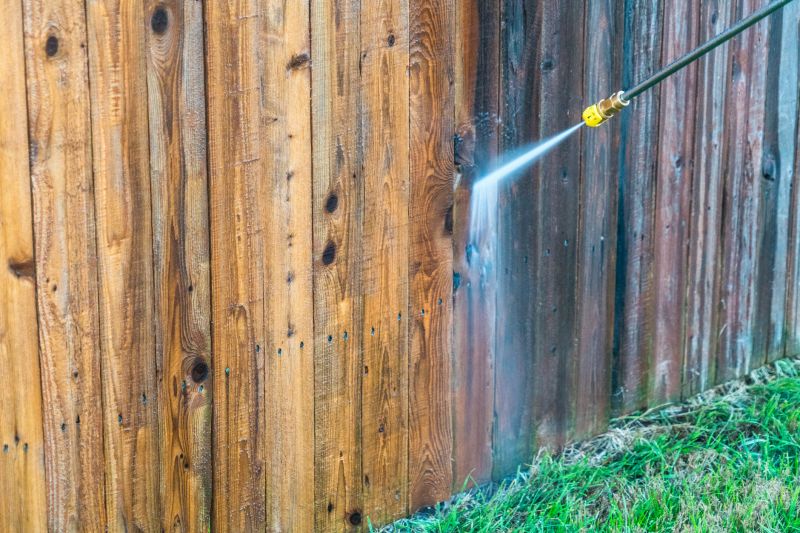 Fence Cleaning Techniques